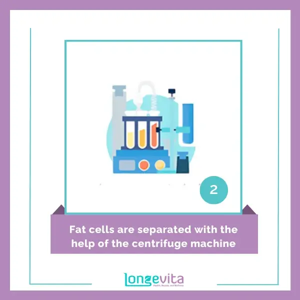 2 Fat cells are separated with the help of the centrifuge machine